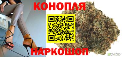гидра Пенза